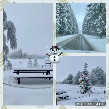 Проживание в семье Les Eglantines *